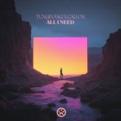Обложка Tungevaag & Callon – All I Need