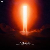 Обложка Tungevaag & Nethy Aber – Amame