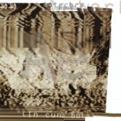 Обложка Autechre – Yeesland