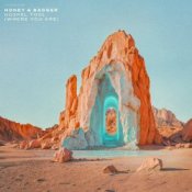 Обложка Honey & Badger – Gospel Tool