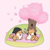 Обложка Hyper Potions – Cherry Blossoms