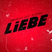 Обложка Roman Messer & Rocco & Pulsedriver – Liebe
