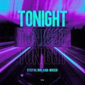 Обложка Stefre Roland – Mos Night