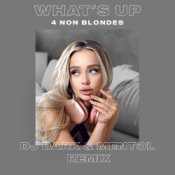 Обложка 4 Non Blondes – What's Up (Dj Dark & Mentol Remix)
