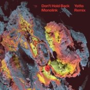 Обложка Monolink – Don't Hold Back (Yotto Remix)