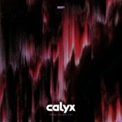 Обложка Calyx – Scavenger