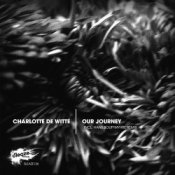Обложка Charlotte De Witte – Watching