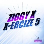 Обложка Ziggy X – Vikinx