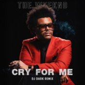 Обложка The Weeknd – Cry For Me (Dj Dark Remix)