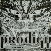 Обложка The Prodigy – Charly (Original Mix)