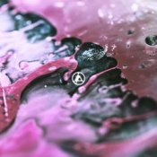 Обложка Linkin Park – Cut the Bridge