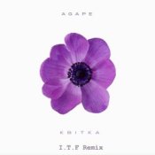 Обложка Agape – Квітка (I.T.F Remix)