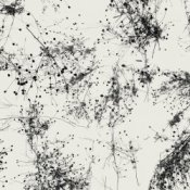Обложка Taylor Deupree – Everything's Gone Grey