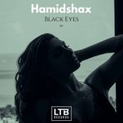 Hamidshax – Loving You (Original Mix)