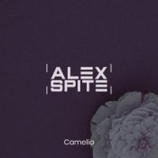 Обложка Alex Spite – Camelia