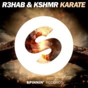 Обложка R3hab feat. Geil3 & Kshmr – Karate (Remix)