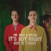 Обложка Mr. Belt & Wezol – It's Not Right (But It's Ok)