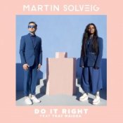 Обложка Martin Solveig – Requiem Pour Un Con