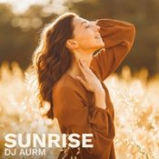 Dj Aurm - Islands In The Sky