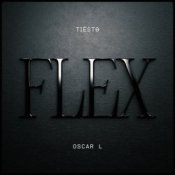 Обложка Tiesto & Oscar L – Flex