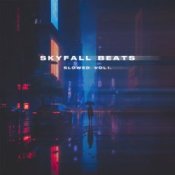 Обложка skyfall beats – mist