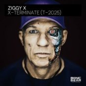 Обложка Ziggy X – Connexion