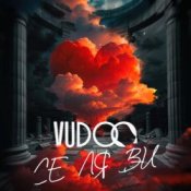 Обложка VUDOO – Се ля ви