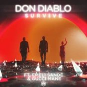 Обложка Don Diablo – Survive