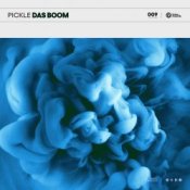 Обложка Pickle – Das Boom