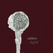 Обложка Calibre – Heaven