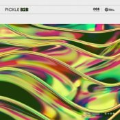 Обложка Pickle – B2B