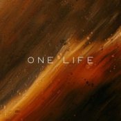 Обложка Vibessmusic – One Life (slowed by kirman)