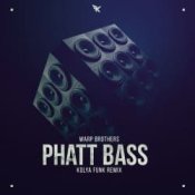 Обложка Warp Brothers – Phatt Bass (Kolya Funk Remix)