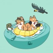 Обложка Hyper Potions – Jungle Cruise
