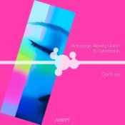 Обложка Anturage & Alexey Union & CATMOONK – Don't Cry (Extended Mix)
