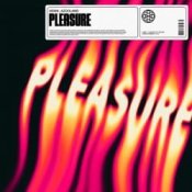 Обложка HAWK – Pleasure (feat. Azooland)