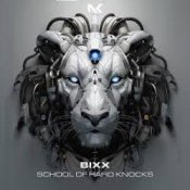 Обложка Bixx – Do The Right Thing