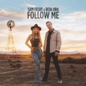 Обложка Sam Feldt – What About The Love