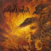 Обложка Nokturnal Mortum – Печаль родных земель